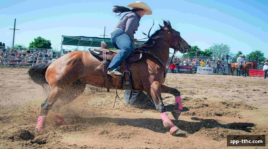 每一步都充满力量，每一秒都在奔跑。